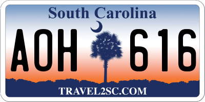 SC license plate AOH616