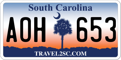 SC license plate AOH653