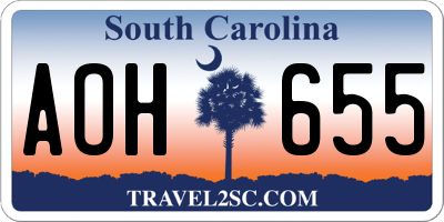 SC license plate AOH655