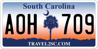 SC license plate AOH709