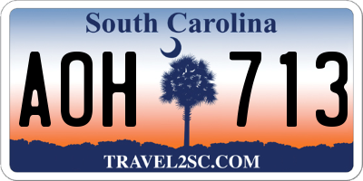 SC license plate AOH713