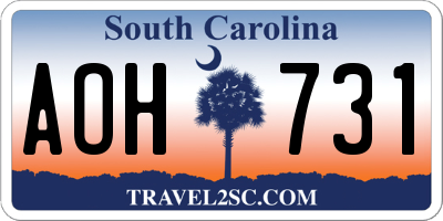 SC license plate AOH731