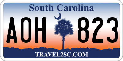 SC license plate AOH823