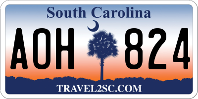 SC license plate AOH824
