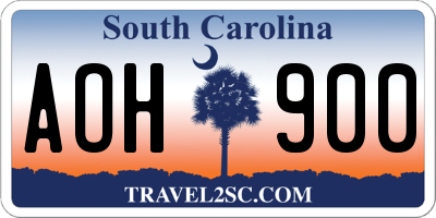 SC license plate AOH900