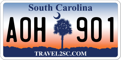 SC license plate AOH901
