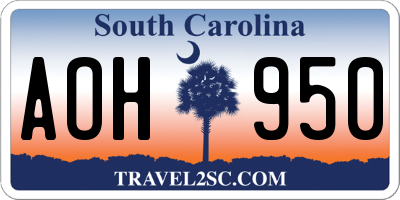 SC license plate AOH950