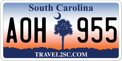 SC license plate AOH955