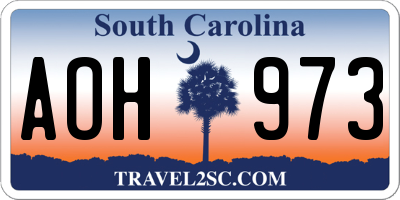 SC license plate AOH973