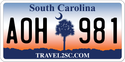 SC license plate AOH981