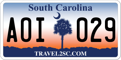 SC license plate AOI029