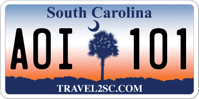 SC license plate AOI101
