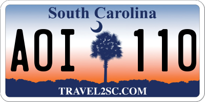 SC license plate AOI110