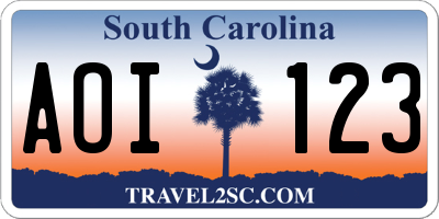 SC license plate AOI123