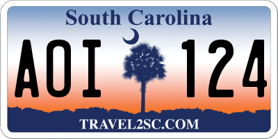 SC license plate AOI124