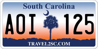 SC license plate AOI125