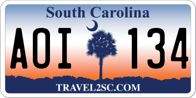 SC license plate AOI134