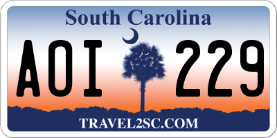 SC license plate AOI229