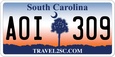 SC license plate AOI309