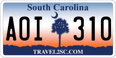 SC license plate AOI310