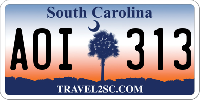SC license plate AOI313
