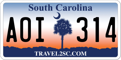 SC license plate AOI314