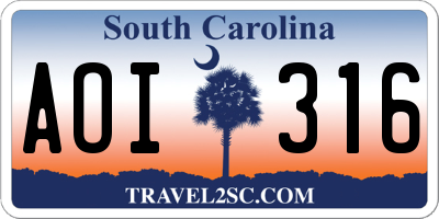 SC license plate AOI316