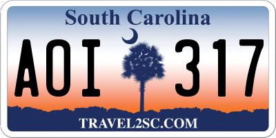 SC license plate AOI317