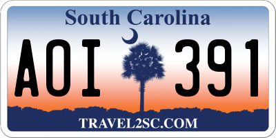 SC license plate AOI391