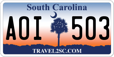 SC license plate AOI503