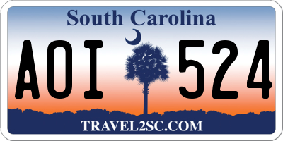 SC license plate AOI524