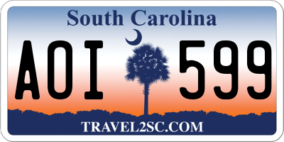 SC license plate AOI599