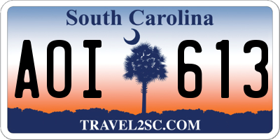 SC license plate AOI613