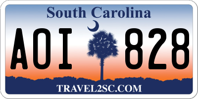 SC license plate AOI828