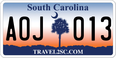 SC license plate AOJ013