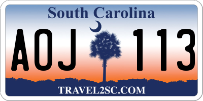 SC license plate AOJ113