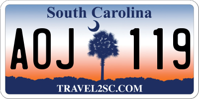 SC license plate AOJ119
