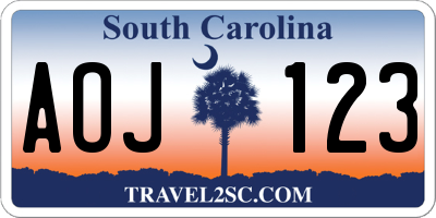 SC license plate AOJ123