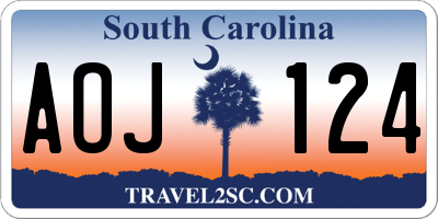 SC license plate AOJ124
