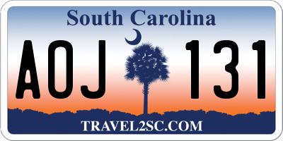SC license plate AOJ131