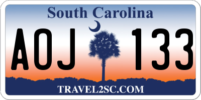 SC license plate AOJ133