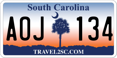 SC license plate AOJ134