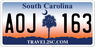 SC license plate AOJ163