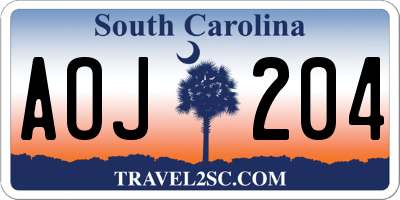 SC license plate AOJ204