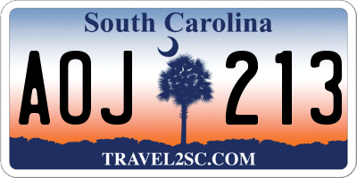 SC license plate AOJ213