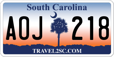 SC license plate AOJ218