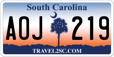 SC license plate AOJ219