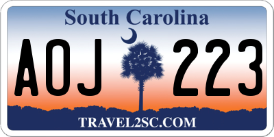 SC license plate AOJ223