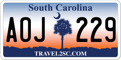 SC license plate AOJ229