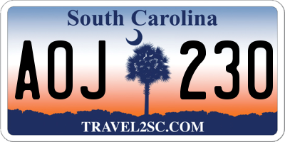 SC license plate AOJ230